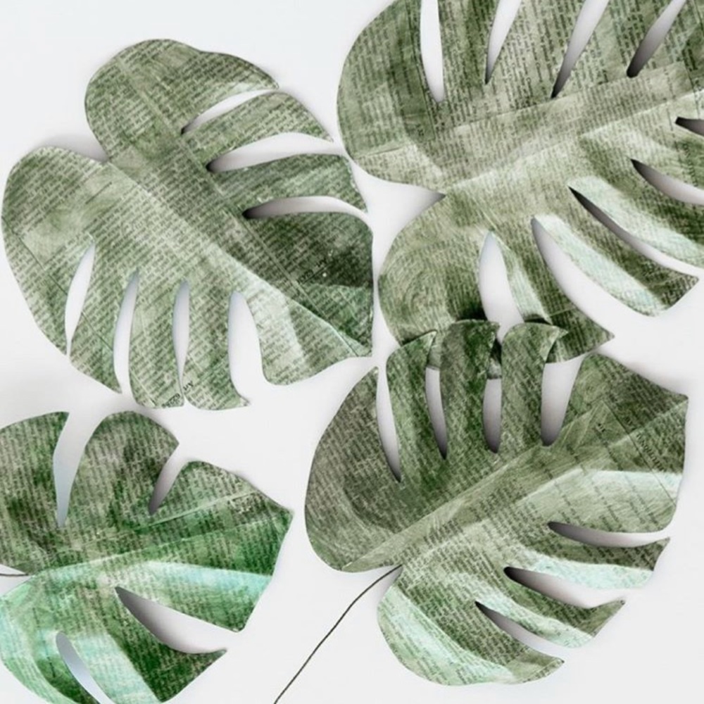 Meet your Posher, Caitlyn